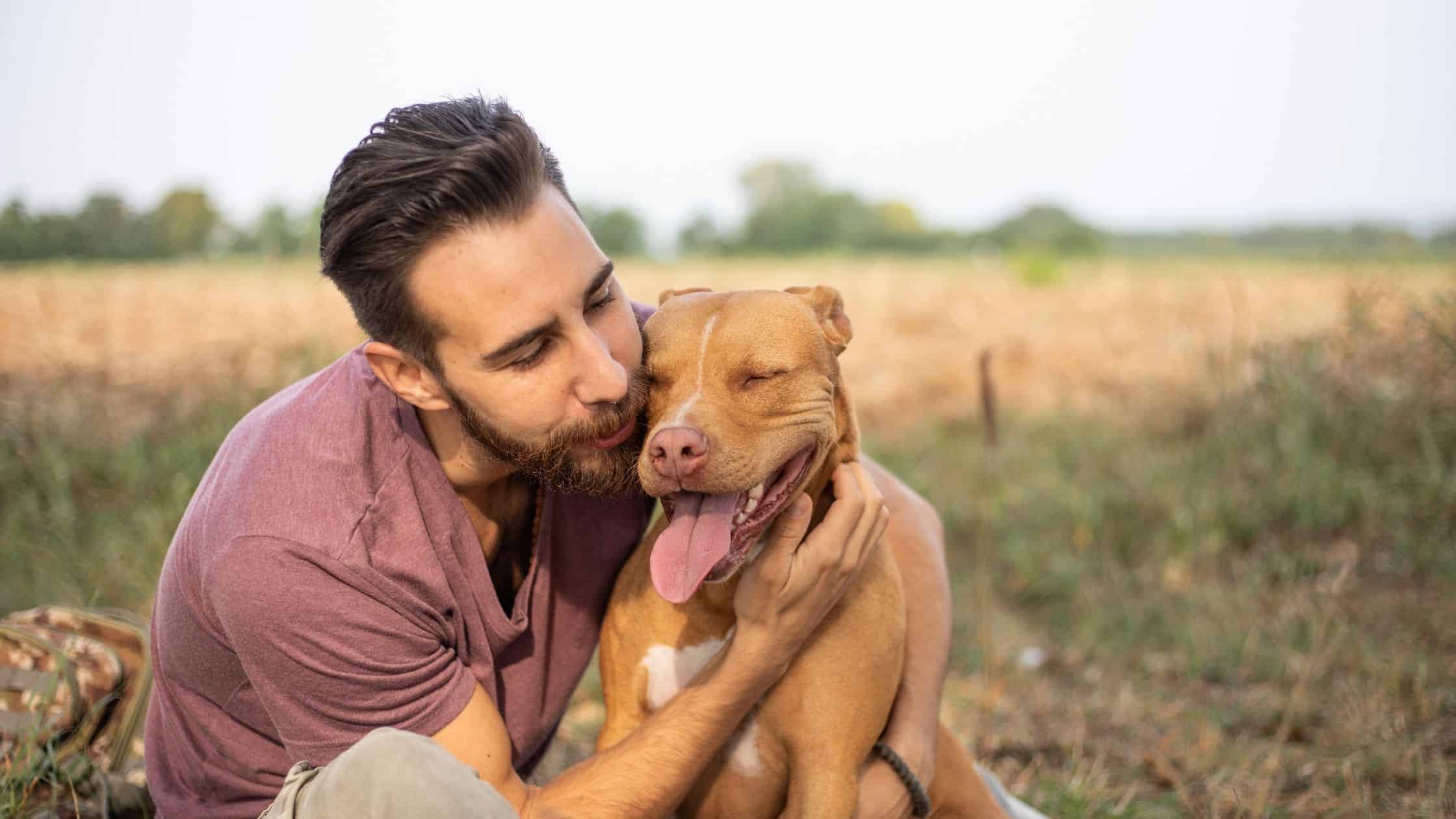 At what age can your pet get pet insurance