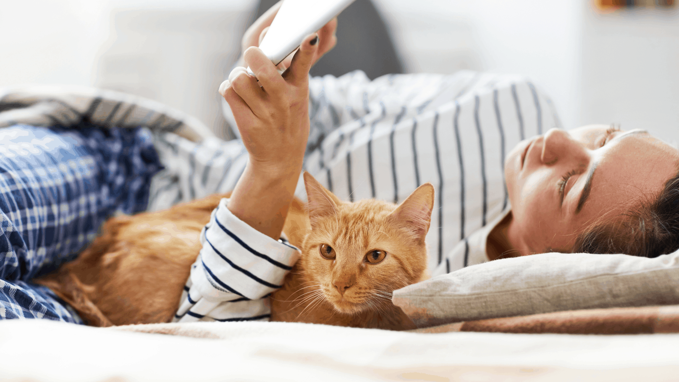 Blog Post Graphic 3 Important Pet Insurance Terms
