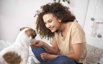 Learn everything you need to know about pet insurance
