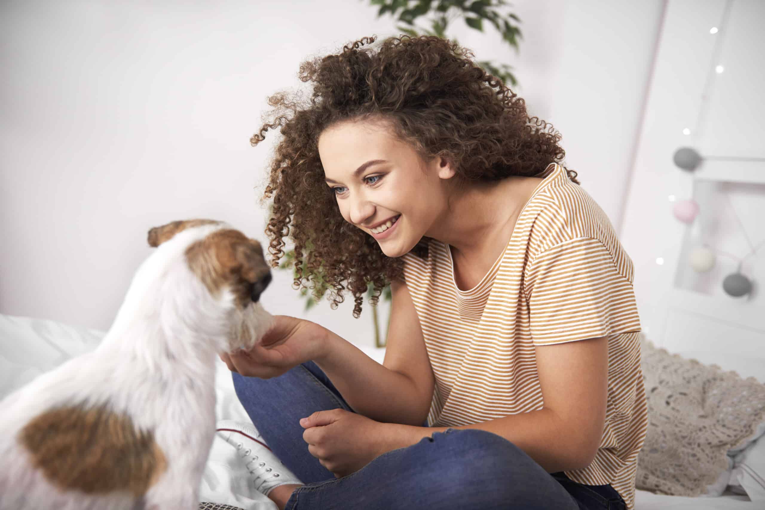 Teenage girl having fun with her dog in bedroom Learn everything you need to know about pet insurance