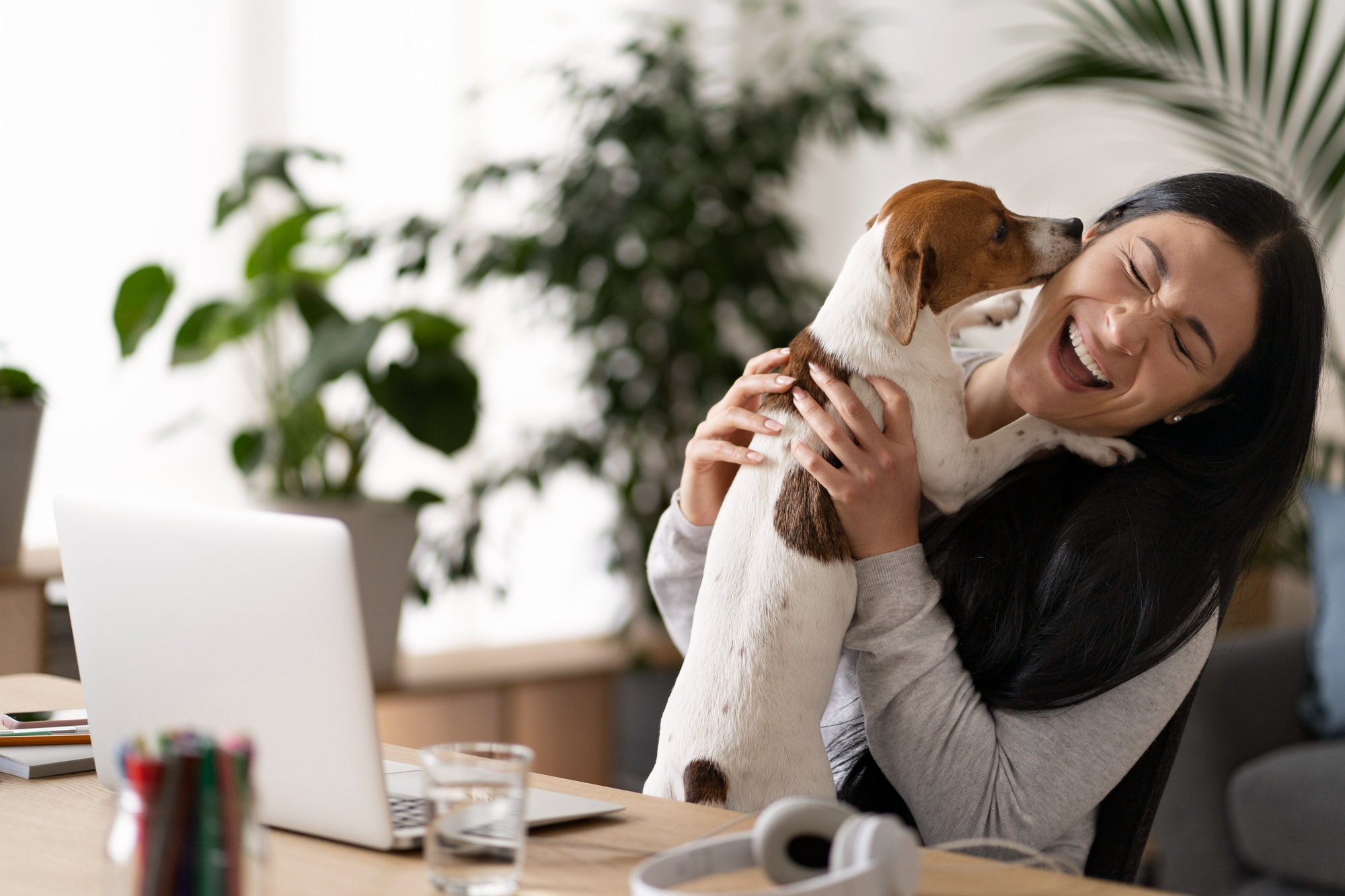 2149258724 Pet insurance as a benefit increases morale in the workplace.