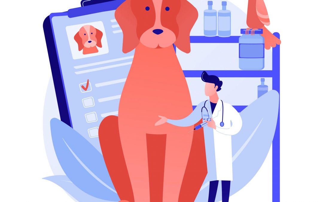 Why Embedded Pet Insurance Is A Smart Business Move for Long-Term Success 
