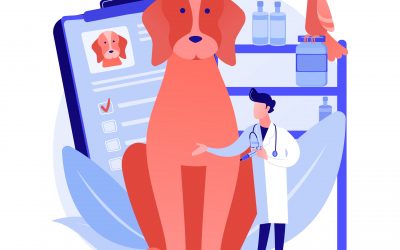 Embedded pet insurance helps customers get peace of mind and companies launch new revenue streams.