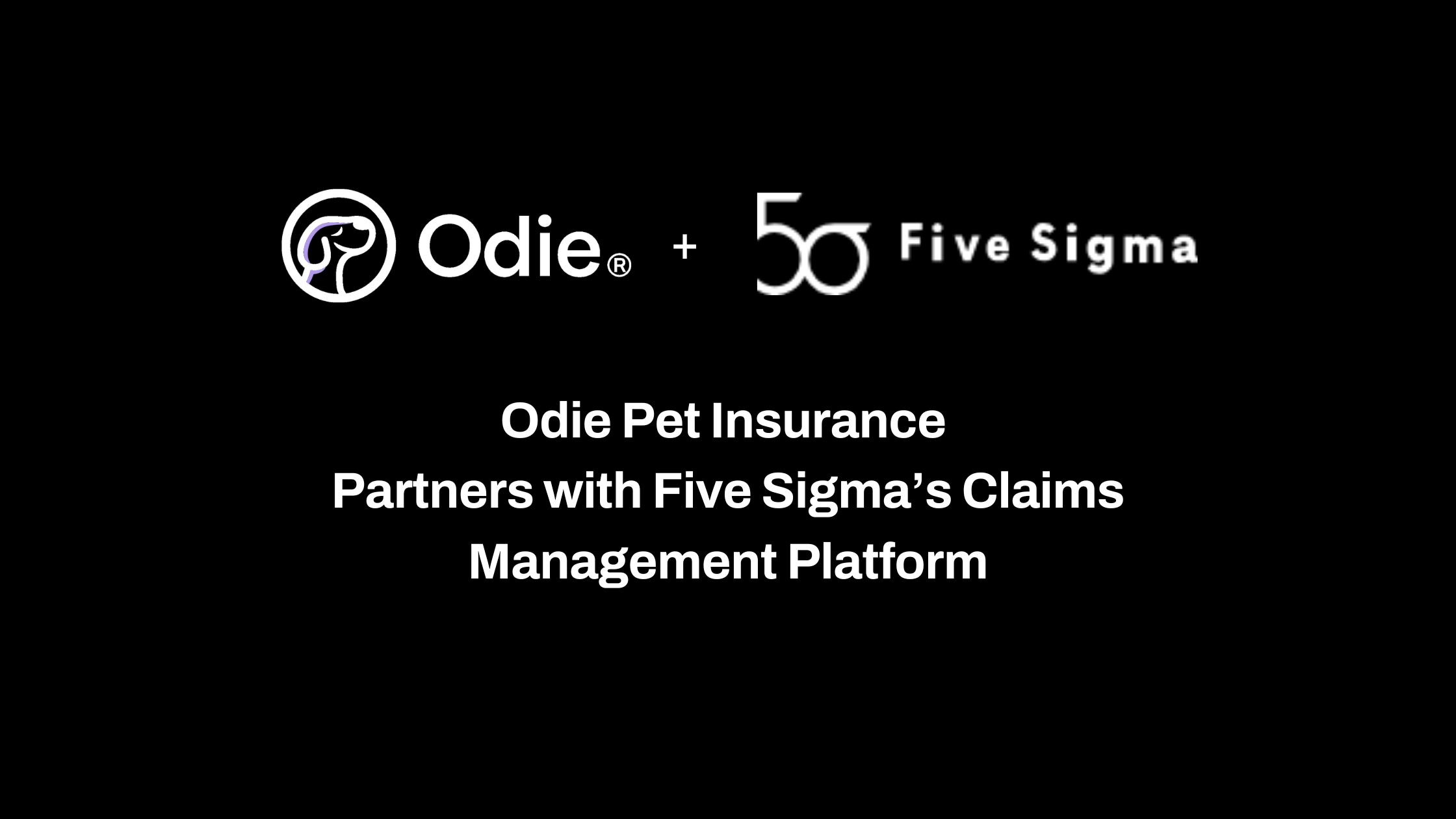 Five Sigma Header Odie Pet Insurance Partners with Five Sigma